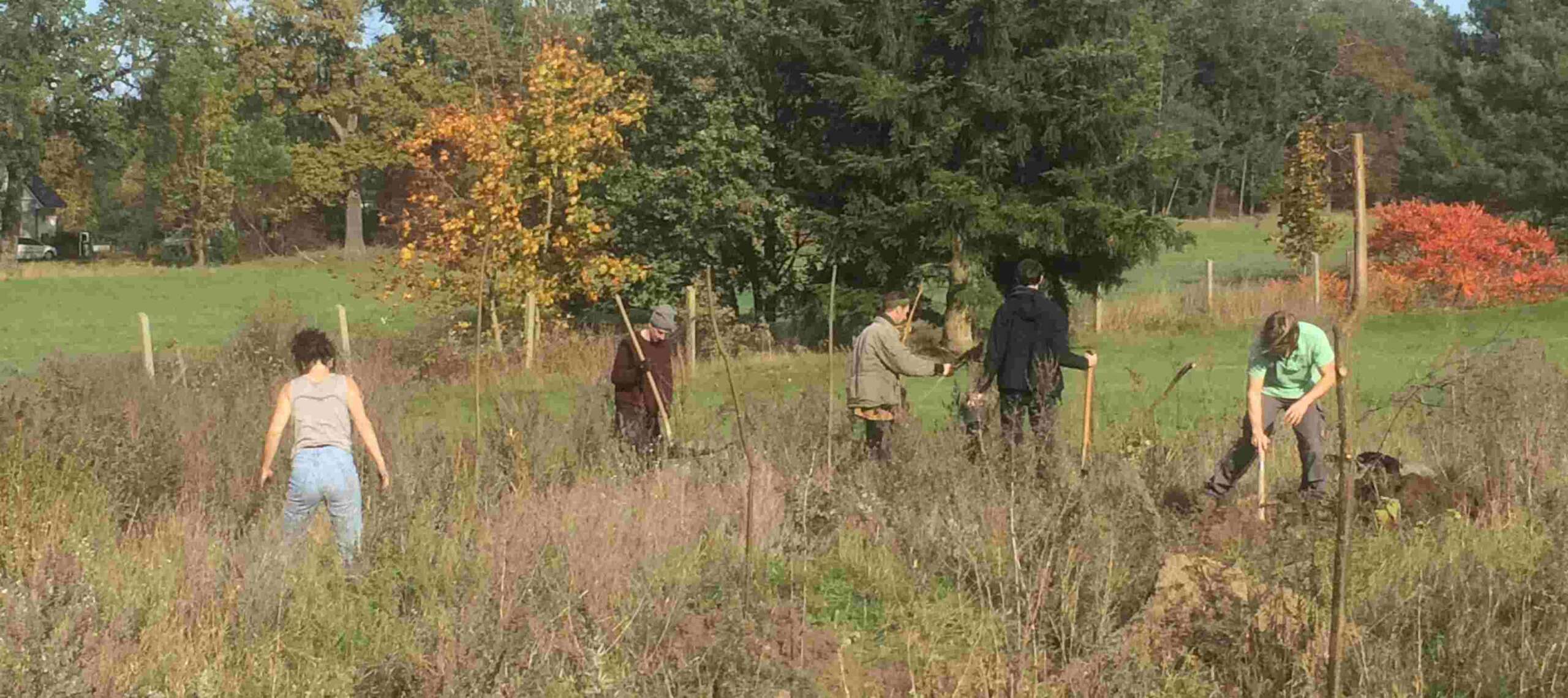 Pflanzaktion Biodiversitaet jetzt