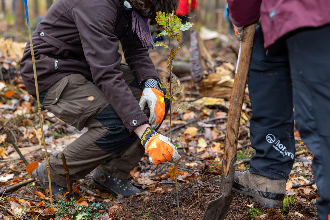 Stiftung Unternehmen Wald