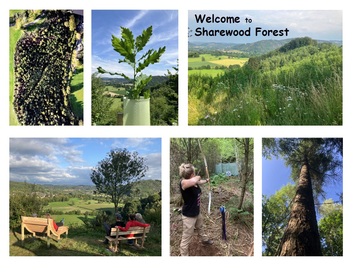 Sharewood Forest